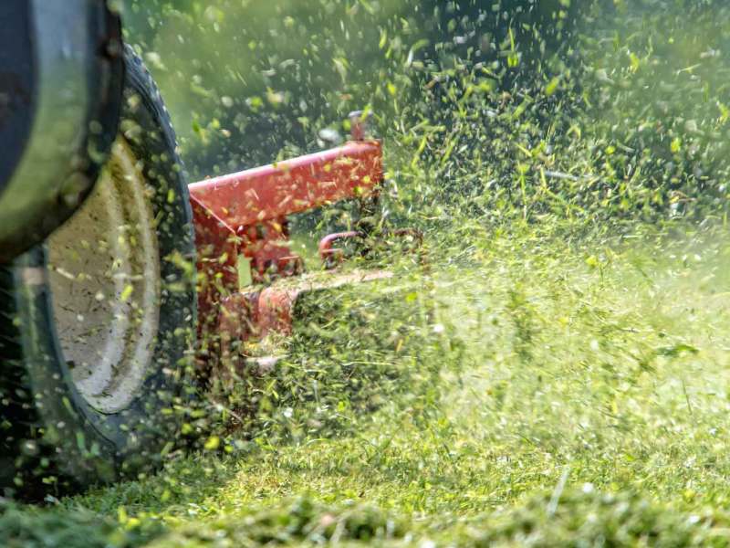 Rasen wird gemäht, dabei fliegen die Grasshalme durch die Luft.