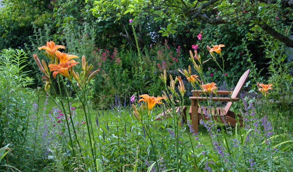 Naturnaher Garten mit Stauden und Holzstuhl