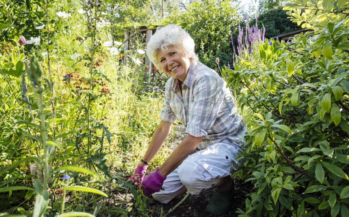 Omas Hausmittel gegen Unkraut: Ältere Dame kniet in Garten
