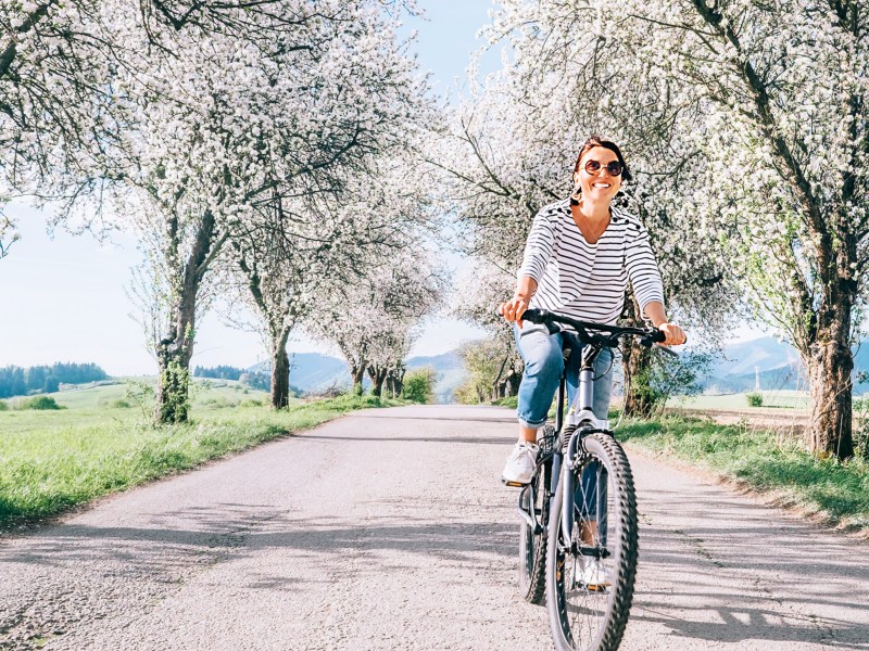Frau auf einem Fahrrad, die eine Allee mit prachtvollen Bäumen auf einem Fahrrad herunterfährt