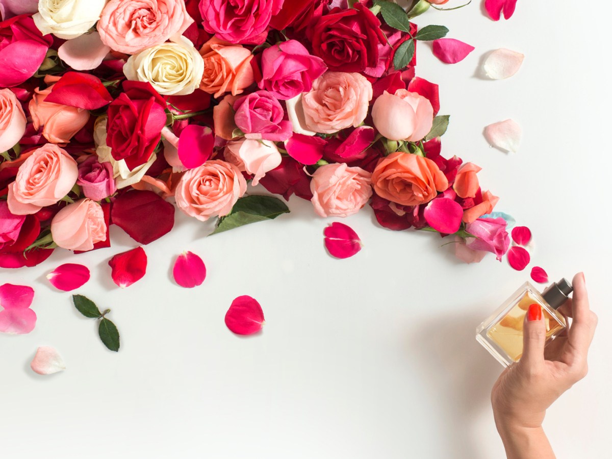 Wenn du Rosen magst, ist dieses Parfum dein privater Rosengarten im Flakon (bei Douglas)