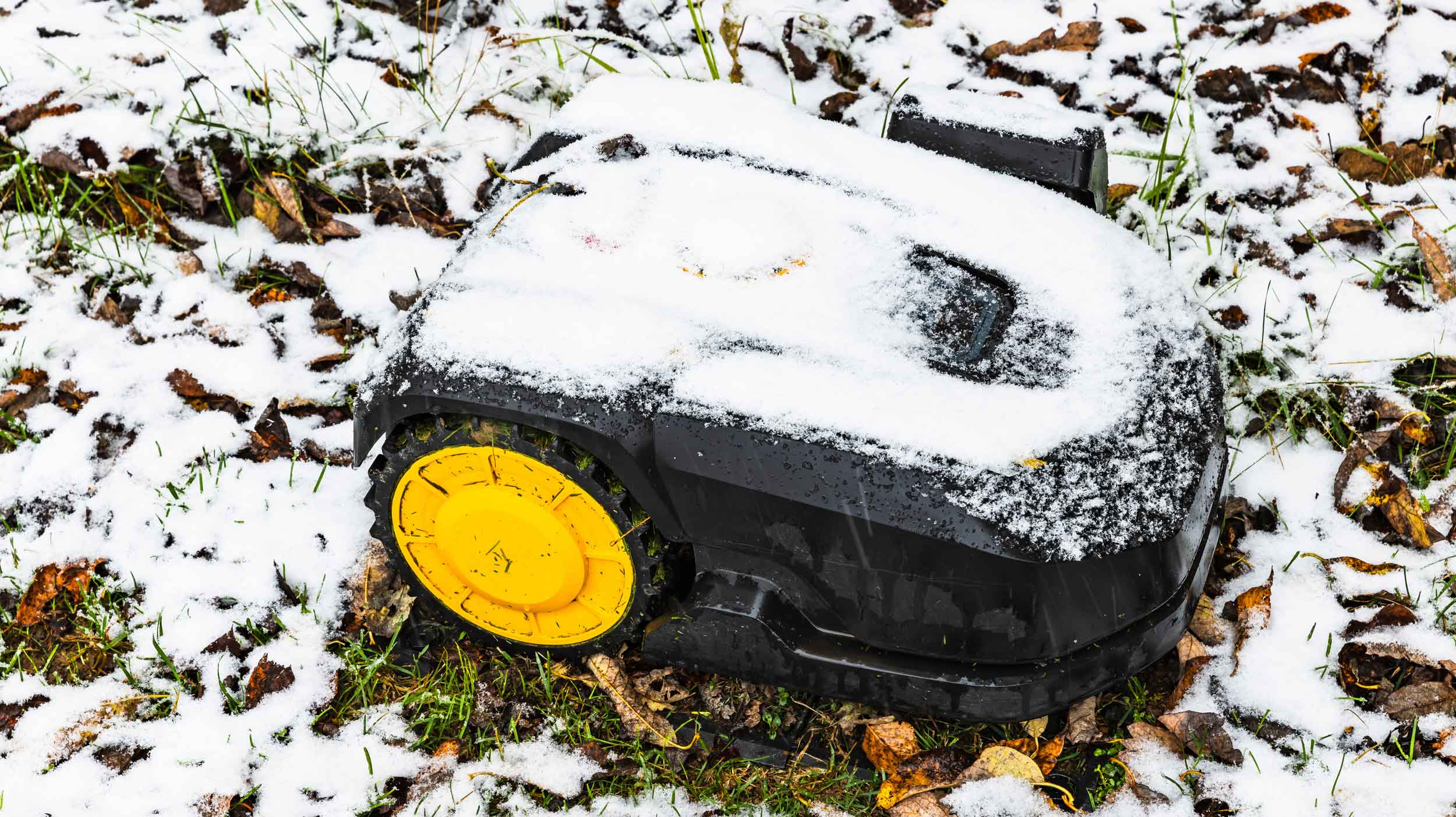 Rasenmähen nach dem Winter Ab wann müssen die Gräser zum 1. Mal