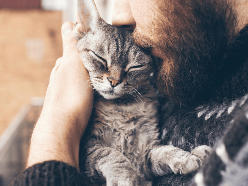 Mann mit Bart kuschelt mit Katze auf seinem Arm.