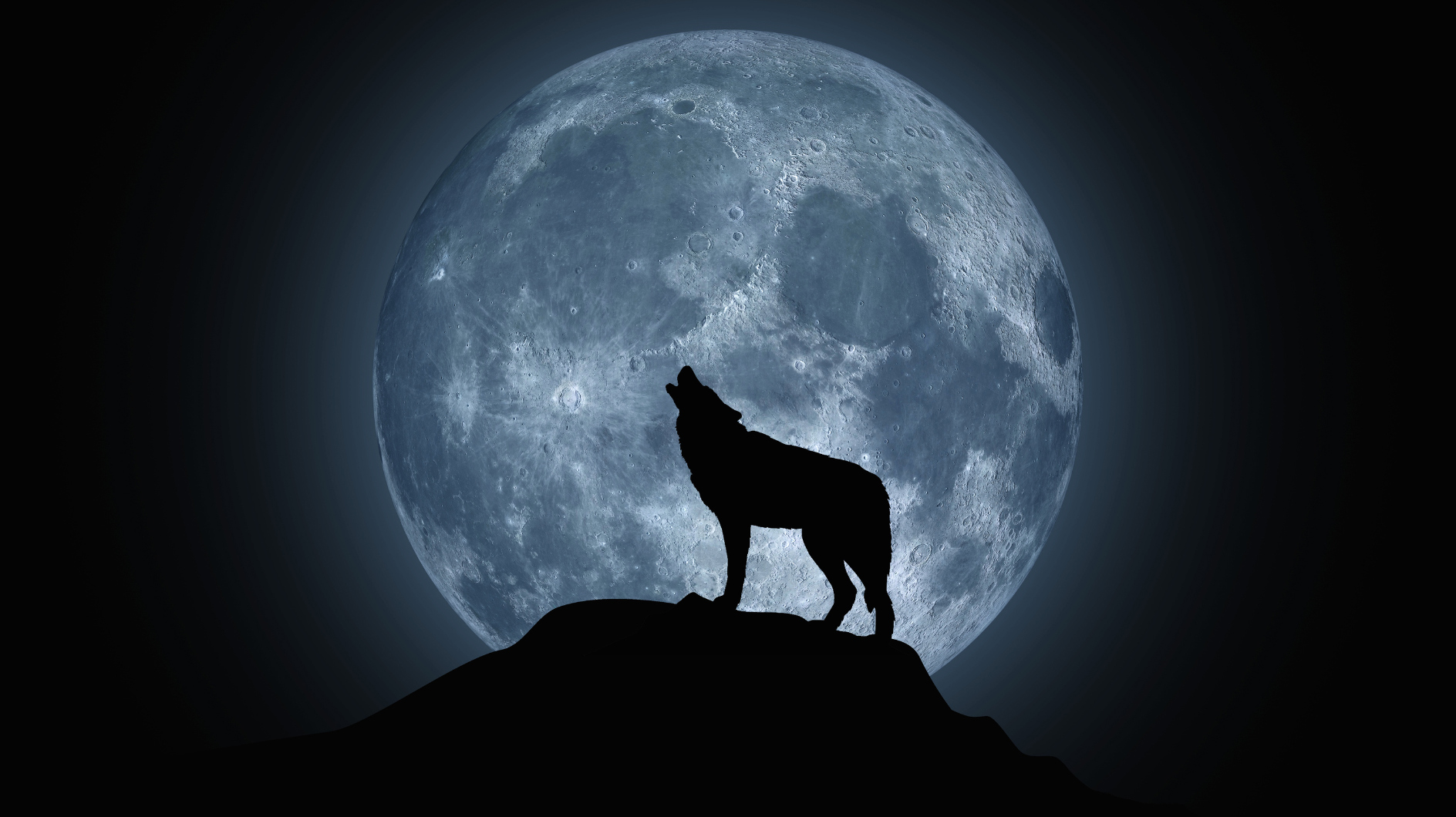 Schicksalsvoller Wolfsmond Der Vollmond am 13. Januar wird für 3 Sternzeichen zur Prüfung