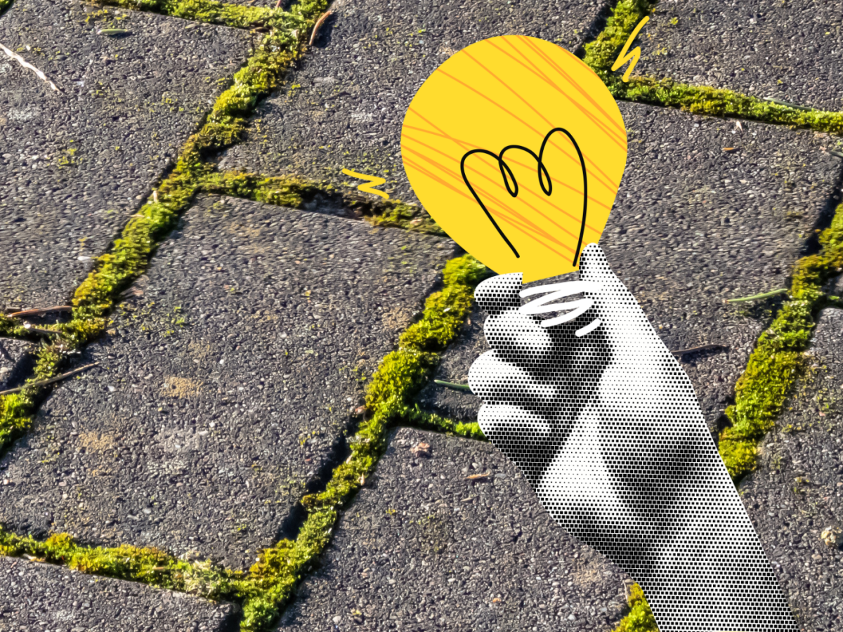 Moos auf Pflastersteinen entfernen mit Glühlampe