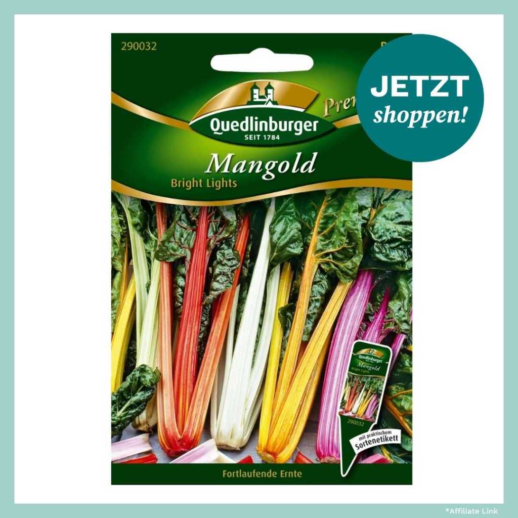 Mangold Saatgut