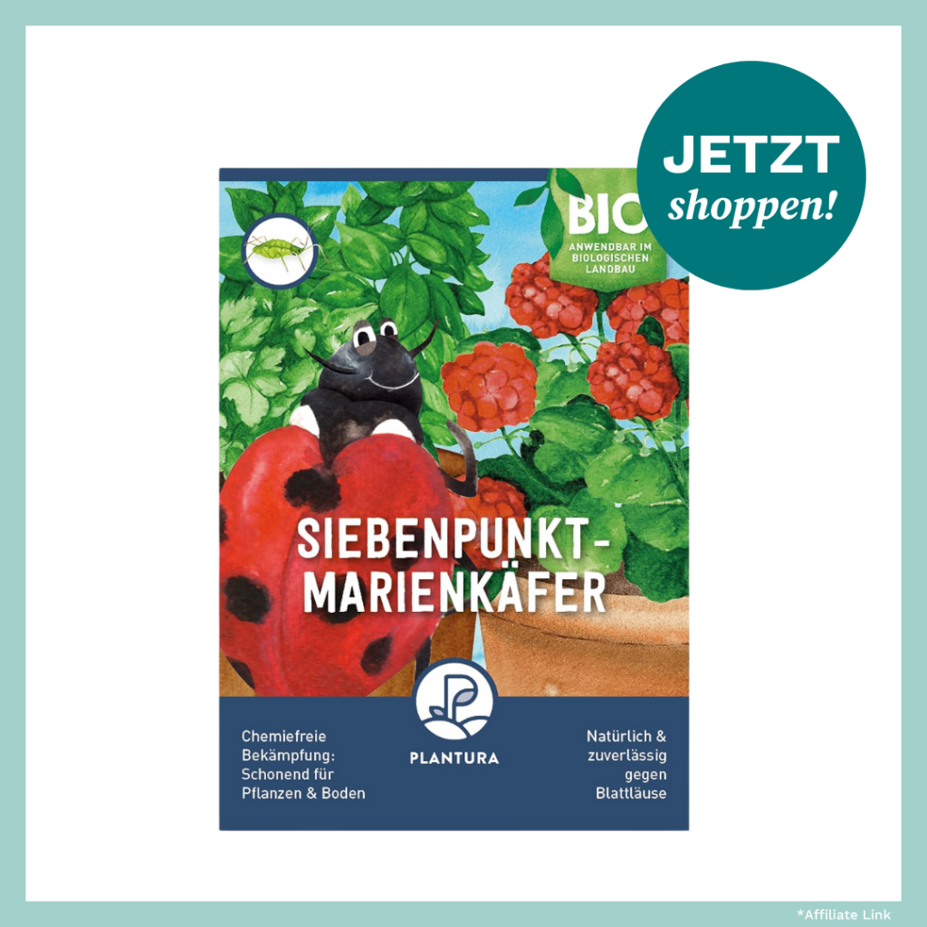 Marienkäfer kaufen