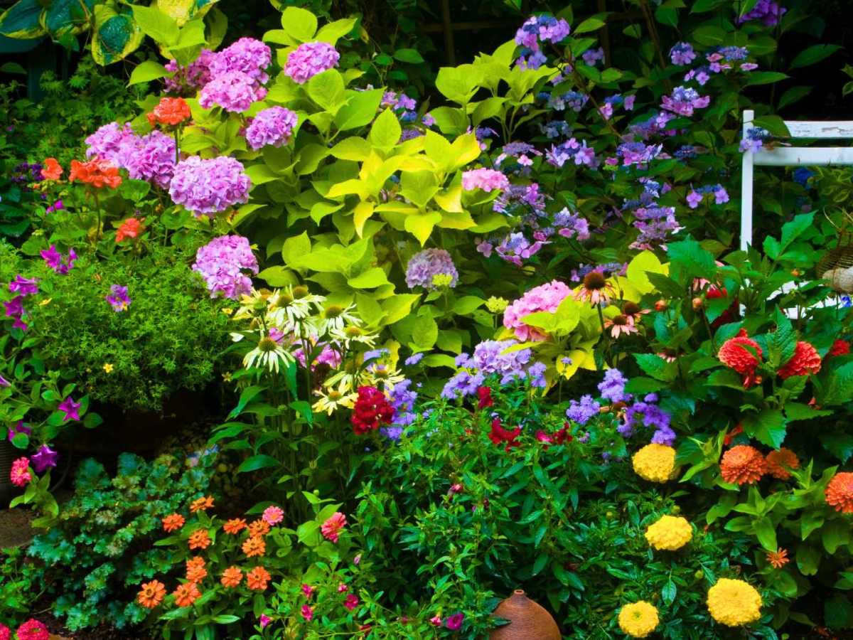 Bunt blühender Garten