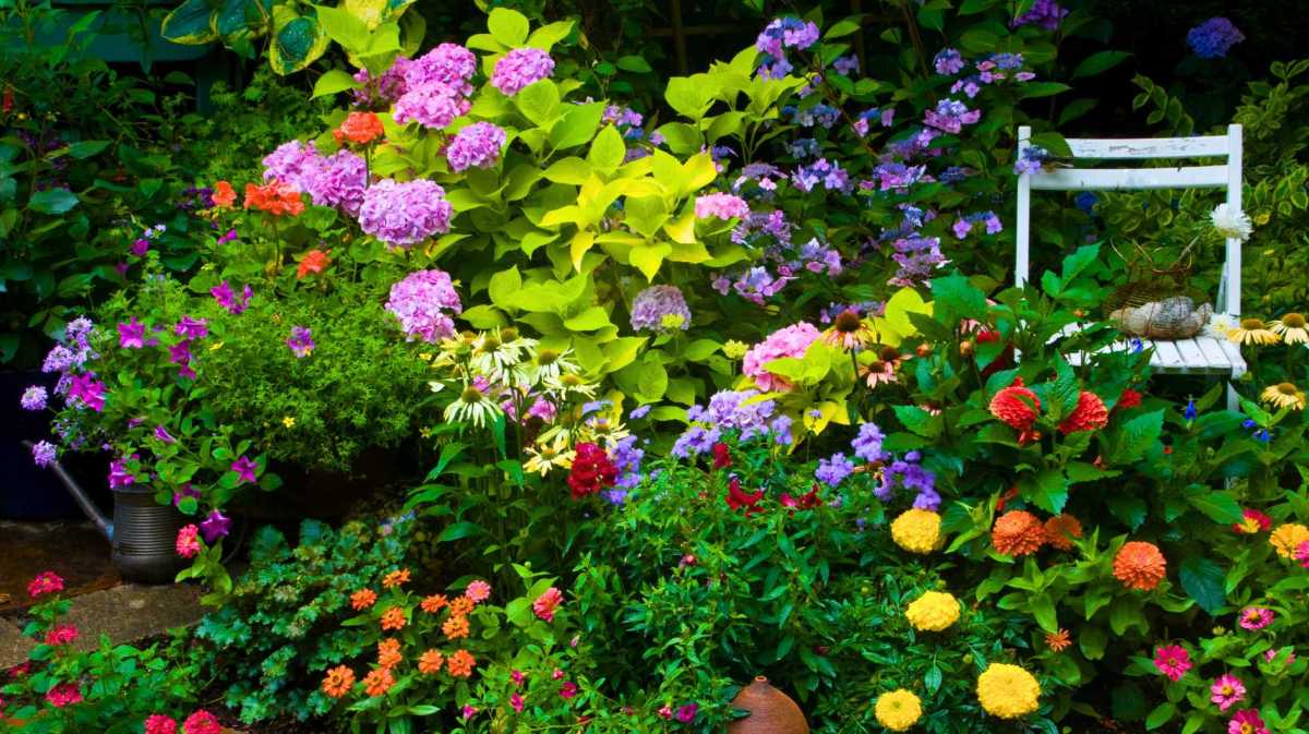 Bunt blühender Garten
