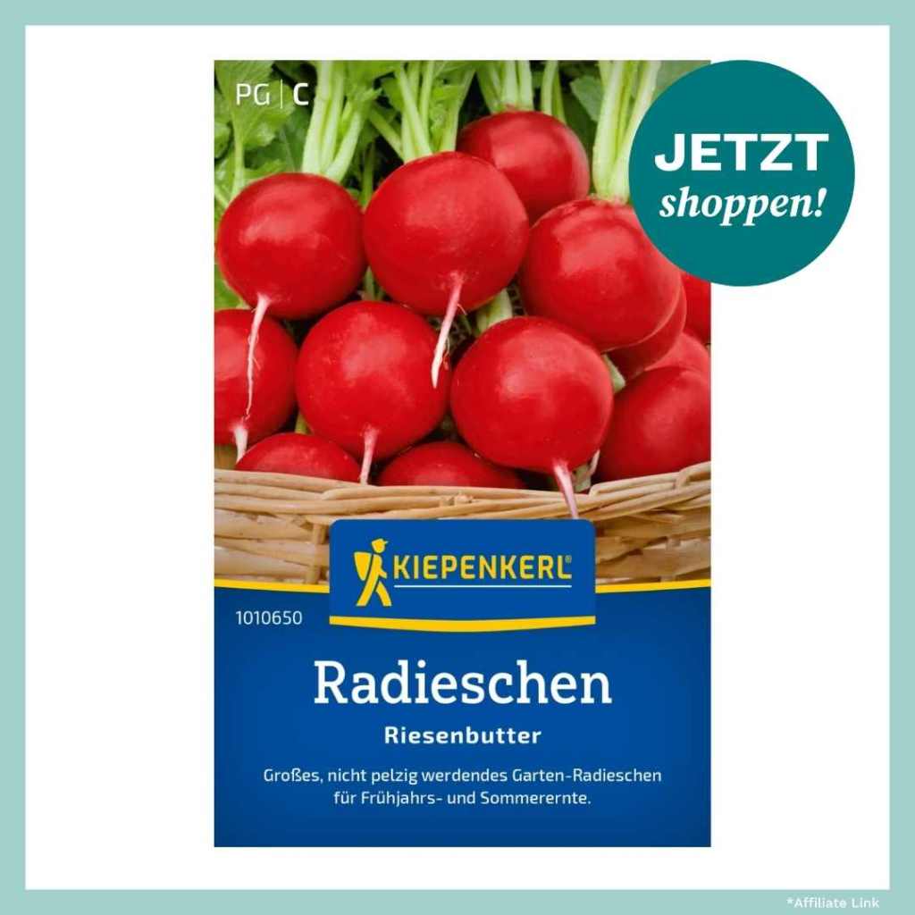 Radieschen von Obi