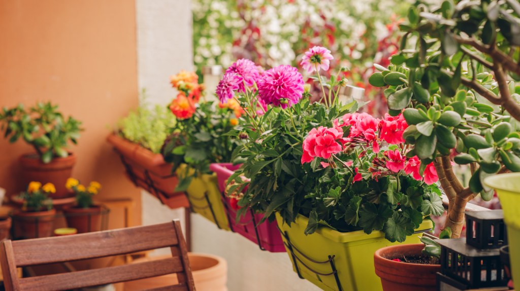 Blumenkästen mit bunten Blumen auf Balkon