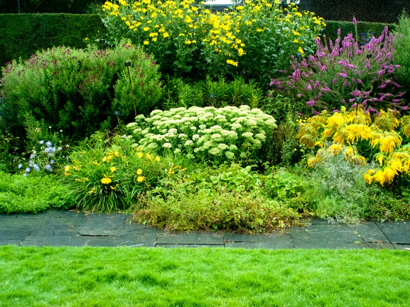 Garten ist nach Regen nass