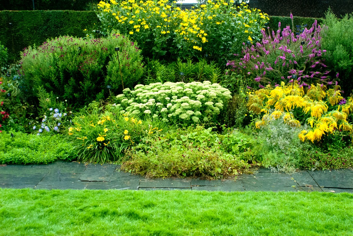 Garten ist nach Regen nass