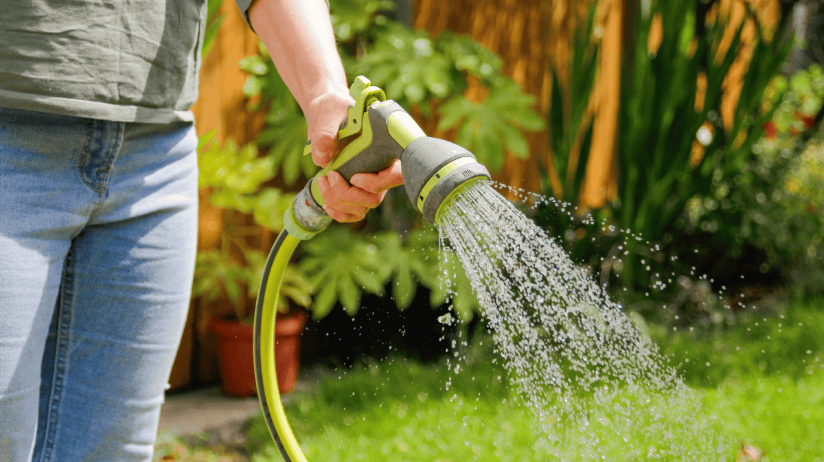 Person bewässert mit Gartenschlauch seinen Garten.