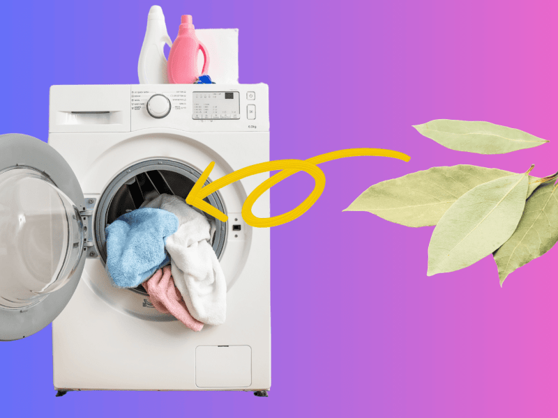 Geöffnete Waschmaschine mit bunter Wäsche, daneben Lorbeerblätter und gelber Pfeil auf pink-blauem Farbverlauf.