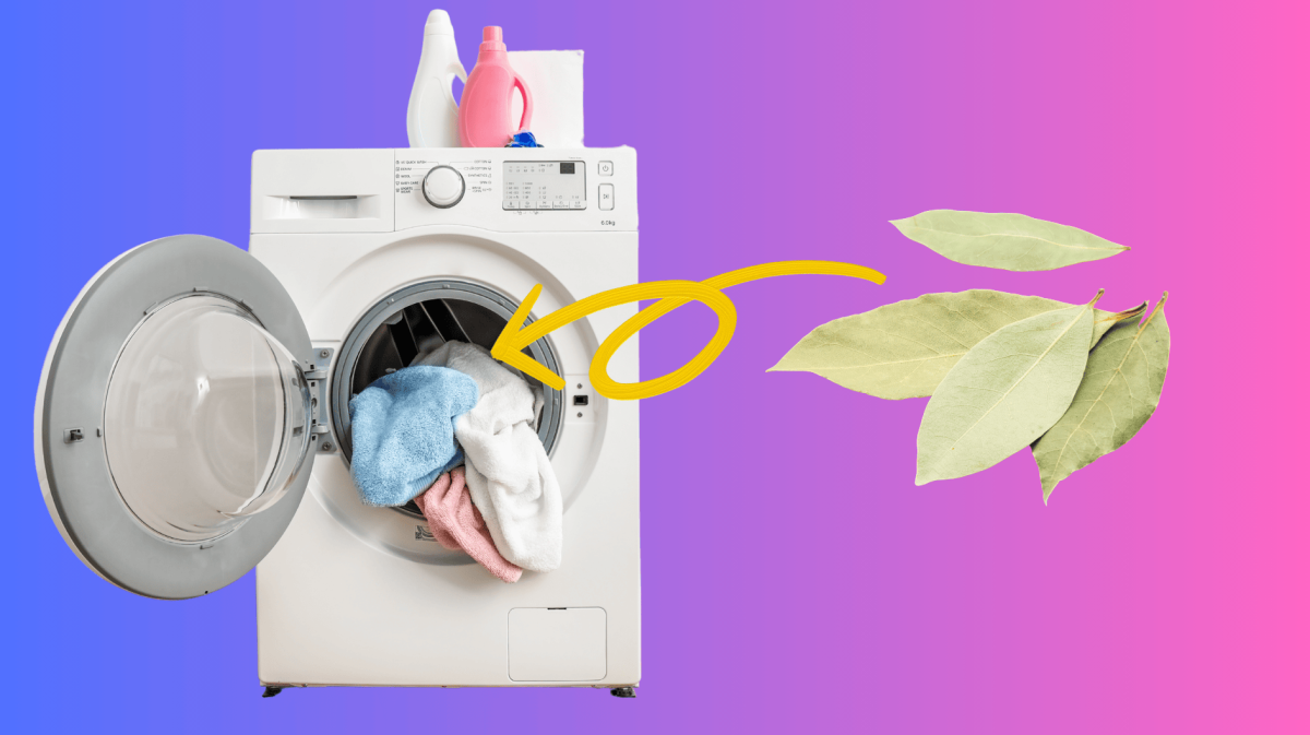 Geöffnete Waschmaschine mit bunter Wäsche, daneben Lorbeerblätter und gelber Pfeil auf pink-blauem Farbverlauf.