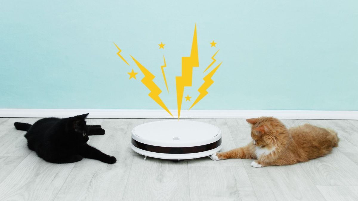 Zwei Katzen liegen rechts und links neben weißem Saugroboter auf dem Boden