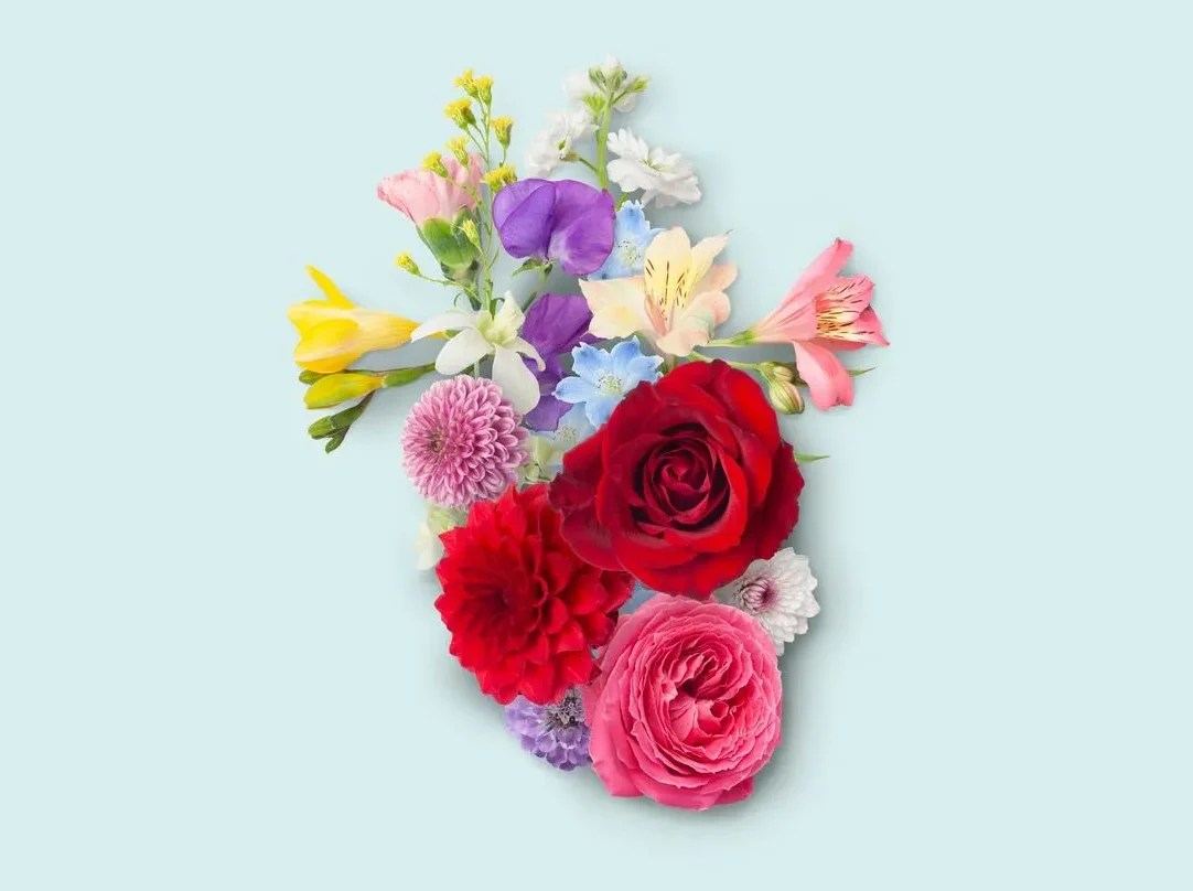 Blüten in der Form eines Herzens, Symbolbild für Durchblutung fördern