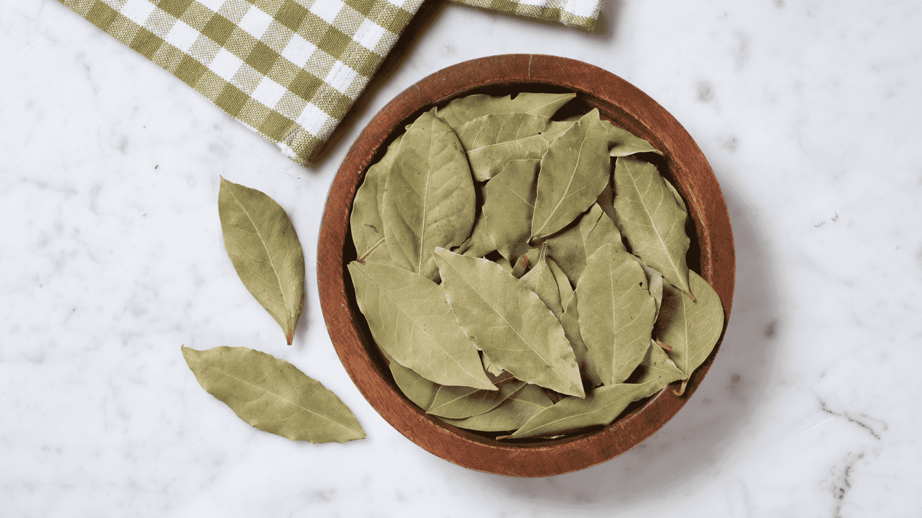 Dieses-Wunder-Blatt-h-lt-nervige-Sch-dlinge-fern-Nie-wieder-Ameisen-Motten-Fliegen-Co-